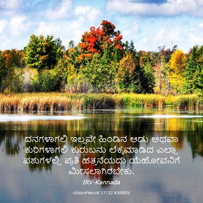 Picture 03 - ಯಾಜಕಕಾಂಡ 27:32 KANIRV - ದನಗಳಾಗಲಿ ಇಲ್ಲವೇ - Bible Verse Picture