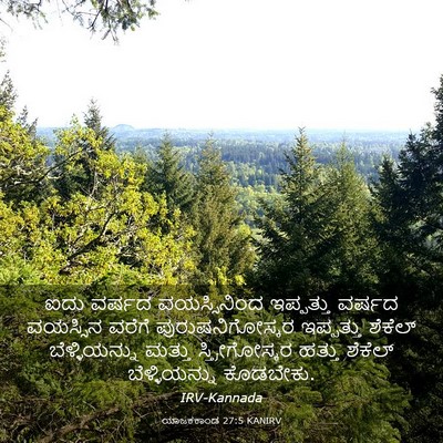 Picture 03 - ಯಾಜಕಕಾಂಡ 27:5 KANIRV - ಐದು ವರ್ಷದ - Bible Verse Picture