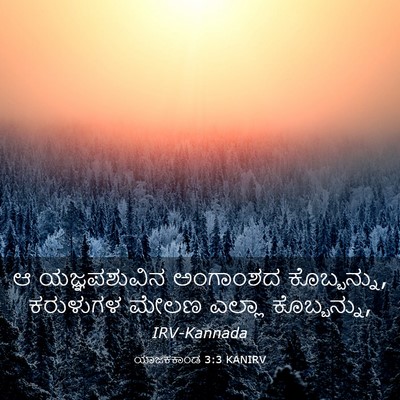 Picture 03 - ಯಾಜಕಕಾಂಡ 3:3 KANIRV - ಆ ಯಜ್ಞಪಶುವಿನ - Bible Verse Picture