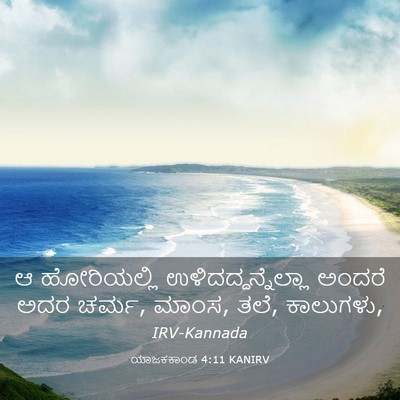 Picture 03 - ಯಾಜಕಕಾಂಡ 4:11 KANIRV - ಆ ಹೋರಿಯಲ್ಲಿ - Bible Verse Picture