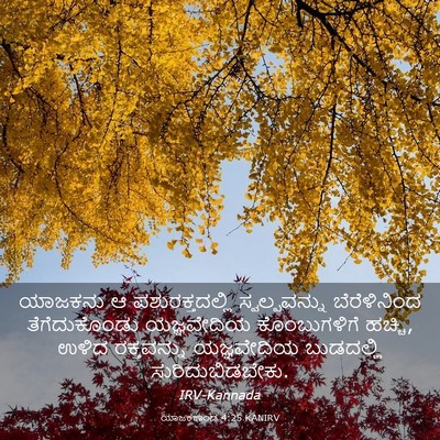 Picture 03 - ಯಾಜಕಕಾಂಡ 4:25 KANIRV - ಯಾಜಕನು ಆ - Bible Verse Picture