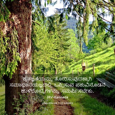 Picture 03 - ಯಾಜಕಕಾಂಡ 7:13 KANIRV - ಕೃತಜ್ಞತೆಯನ್ನು - Bible Verse Picture