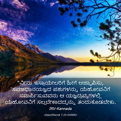 Picture 03 - ಯಾಜಕಕಾಂಡ 7:29 KANIRV - “ನೀನು - Bible Verse Picture