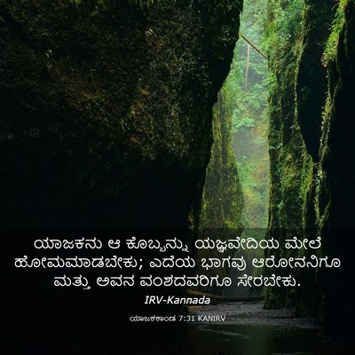 Picture 03 - ಯಾಜಕಕಾಂಡ 7:31 KANIRV - ಯಾಜಕನು ಆ - Bible Verse Picture