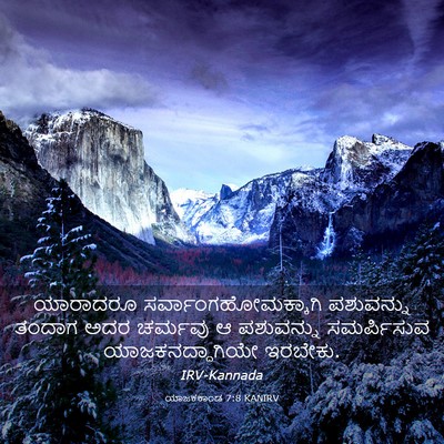 Picture 03 - ಯಾಜಕಕಾಂಡ 7:8 KANIRV - ಯಾರಾದರೂ - Bible Verse Picture