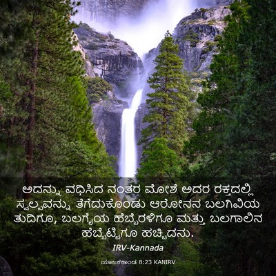 Picture 03 - ಯಾಜಕಕಾಂಡ 8:23 KANIRV - ಅದನ್ನು ವಧಿಸಿದ - Bible Verse Picture
