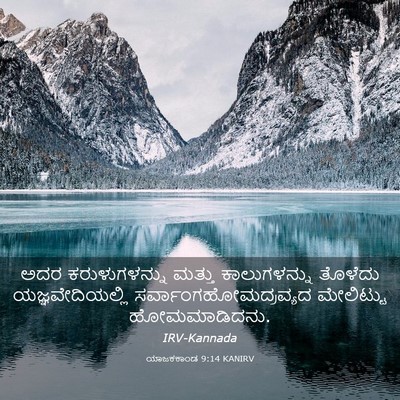 Picture 03 - ಯಾಜಕಕಾಂಡ 9:14 KANIRV - ಅದರ ಕರುಳುಗಳನ್ನು - Bible Verse Picture