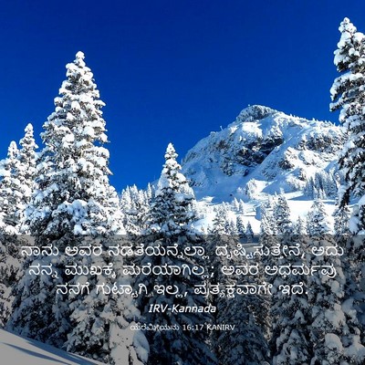 Picture 03 - ಯೆರೆಮೀಯನು 16:17 KANIRV - ನಾನು ಅವರ - Bible Verse Picture