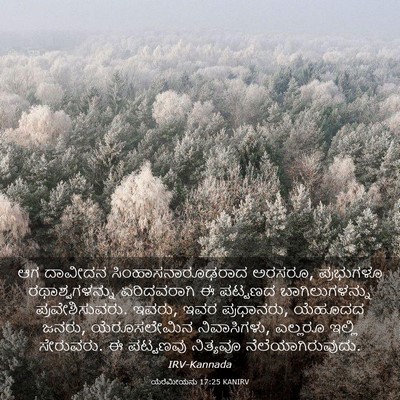 Picture 03 - ಯೆರೆಮೀಯನು 17:25 KANIRV - ಆಗ ದಾವೀದನ - Bible Verse Picture