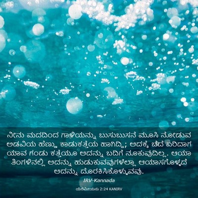 Picture 03 - ಯೆರೆಮೀಯನು 2:24 KANIRV - ನೀನು ಮದದಿಂದ - Bible Verse Picture