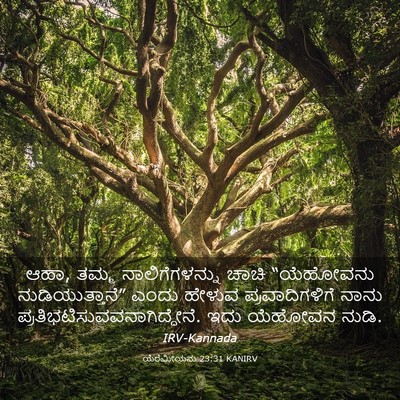 Picture 03 - ಯೆರೆಮೀಯನು 23:31 KANIRV - ಆಹಾ, ತಮ್ಮ - Bible Verse Picture