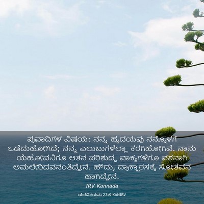 Picture 03 - ಯೆರೆಮೀಯನು 23:9 KANIRV - ಪ್ರವಾದಿಗಳ ವಿಷಯ: - Bible Verse Picture