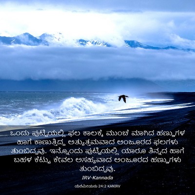 Picture 03 - ಯೆರೆಮೀಯನು 24:2 KANIRV - ಒಂದು ಪುಟ್ಟಿಯಲ್ಲಿ - Bible Verse Picture