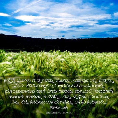 Picture 03 - ಯೆರೆಮೀಯನು 3:2 KANIRV - ಕಣ್ಣೆತ್ತಿ ಬೋಳು - Bible Verse Picture