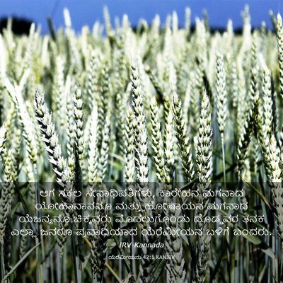 Picture 03 - ಯೆರೆಮೀಯನು 42:1 KANIRV - ಆಗ ಸಕಲ - Bible Verse Picture