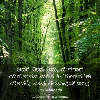 Picture 03 - ಯೆರೆಮೀಯನು 42:13 KANIRV - ಆದರೆ ನೀವು ನಿಮ್ಮ - Bible Verse Picture