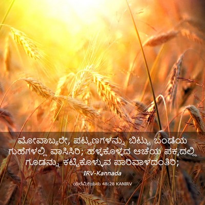 Picture 03 - ಯೆರೆಮೀಯನು 48:28 KANIRV - ಮೋವಾಬ್ಯರೇ, - Bible Verse Picture
