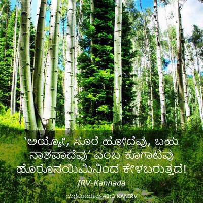 Picture 03 - ಯೆರೆಮೀಯನು 48:3 KANIRV - ‘ಅಯ್ಯೋ, ಸೂರೆ - Bible Verse Picture