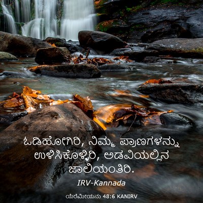 Picture 03 - ಯೆರೆಮೀಯನು 48:6 KANIRV - ಓಡಿಹೋಗಿರಿ, ನಿಮ್ಮ - Bible Verse Picture
