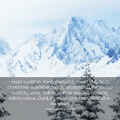 Picture 03 - ಯೆರೆಮೀಯನು 49:32 KANIRV - ಅವರ ಒಂಟೆಗಳು - Bible Verse Picture