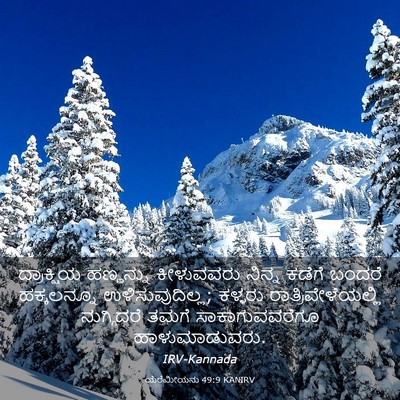 Picture 03 - ಯೆರೆಮೀಯನು 49:9 KANIRV - ದ್ರಾಕ್ಷಿಯ - Bible Verse Picture