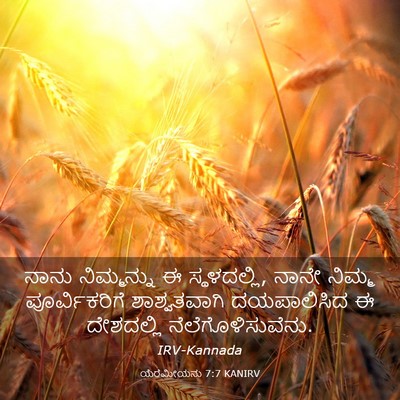 Picture 03 - ಯೆರೆಮೀಯನು 7:7 KANIRV - ನಾನು ನಿಮ್ಮನ್ನು ಈ - Bible Verse Picture
