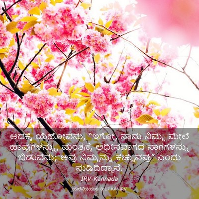 Picture 03 - ಯೆರೆಮೀಯನು 8:17 KANIRV - ಅದಕ್ಕೆ ಯೆಹೋವನು, - Bible Verse Picture