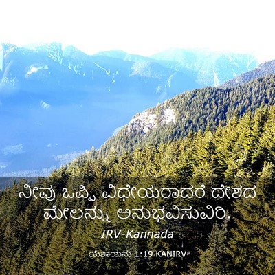 Picture 03 - ಯೆಶಾಯನು 1:19 KANIRV - ನೀವು ಒಪ್ಪಿ - Bible Verse Picture