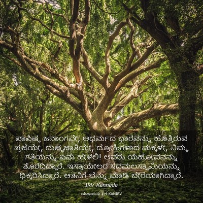 Picture 03 - ಯೆಶಾಯನು 1:4 KANIRV - ಪಾಪಿಷ್ಠ ಜನಾಂಗವೇ, - Bible Verse Picture