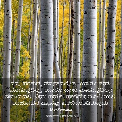 Picture 03 - ಯೆಶಾಯನು 11:9 KANIRV - ನನ್ನ ಪರಿಶುದ್ಧ - Bible Verse Picture