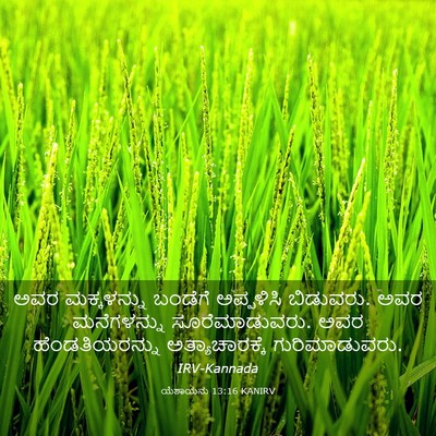 Picture 03 - ಯೆಶಾಯನು 13:16 KANIRV - ಅವರ ಮಕ್ಕಳನ್ನು - Bible Verse Picture