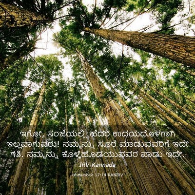 Picture 03 - ಯೆಶಾಯನು 17:14 KANIRV - ಇಗೋ, ಸಂಜೆಯಲ್ಲಿ - Bible Verse Picture
