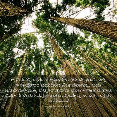 Picture 03 - ಯೆಶಾಯನು 17:9 KANIRV - ಆ ದಿನದಲ್ಲಿ ದೇಶದ - Bible Verse Picture