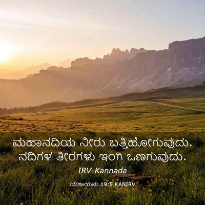 Picture 03 - ಯೆಶಾಯನು 19:5 KANIRV - ಮಹಾನದಿಯ ನೀರು - Bible Verse Picture