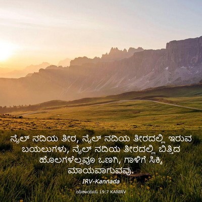Picture 03 - ಯೆಶಾಯನು 19:7 KANIRV - ನೈಲ್ ನದಿಯ ತೀರ, ನೈಲ್ - Bible Verse Picture