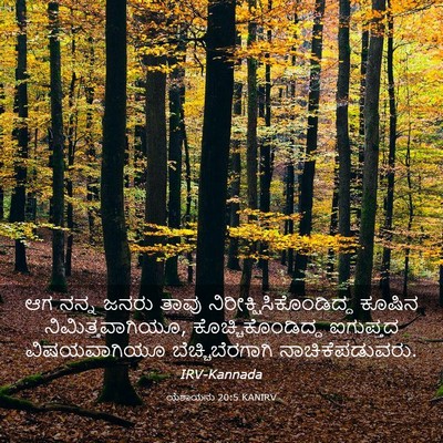 Picture 03 - ಯೆಶಾಯನು 20:5 KANIRV - ಆಗ ನನ್ನ ಜನರು ತಾವು - Bible Verse Picture