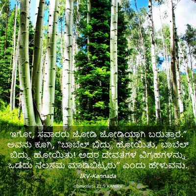 Picture 03 - ಯೆಶಾಯನು 21:9 KANIRV - ಇಗೋ, ಸವಾರರು ಜೋಡಿ - Bible Verse Picture