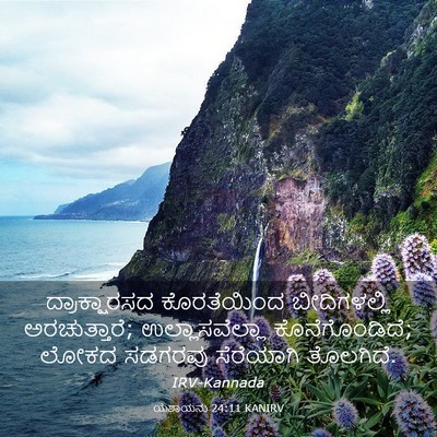 Picture 03 - ಯೆಶಾಯನು 24:11 KANIRV - ದ್ರಾಕ್ಷಾರಸದ - Bible Verse Picture
