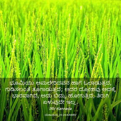Picture 03 - ಯೆಶಾಯನು 24:20 KANIRV - ಭೂಮಿಯು ಅಮಲೇರಿದವನ - Bible Verse Picture