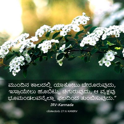 Picture 03 - ಯೆಶಾಯನು 27:6 KANIRV - ಮುಂದಿನ ಕಾಲದಲ್ಲಿ - Bible Verse Picture