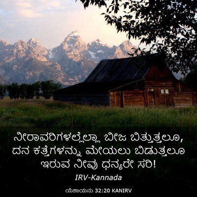 Picture 03 - ಯೆಶಾಯನು 32:20 KANIRV -  - Bible Verse Picture