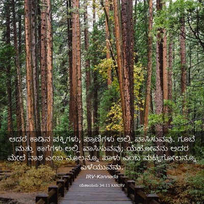 Picture 03 - ಯೆಶಾಯನು 34:11 KANIRV - ಆದರೆ ಕಾಡಿನ - Bible Verse Picture