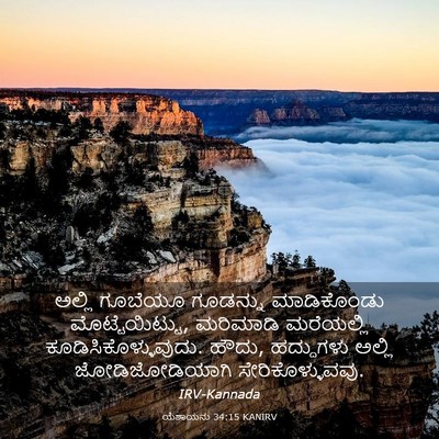 Picture 03 - ಯೆಶಾಯನು 34:15 KANIRV - ಅಲ್ಲಿ ಗೂಬೆಯೂ - Bible Verse Picture