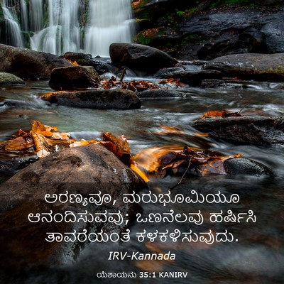 Picture 03 - ಯೆಶಾಯನು 35:1 KANIRV - ಅರಣ್ಯವೂ, - Bible Verse Picture
