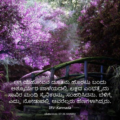 Picture 03 - ಯೆಶಾಯನು 37:36 KANIRV - ಆಗ ಯೆಹೋವನ ದೂತನು - Bible Verse Picture