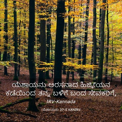Picture 03 - ಯೆಶಾಯನು 37:5 KANIRV - ಯೆಶಾಯನು ಅರಸನಾದ - Bible Verse Picture