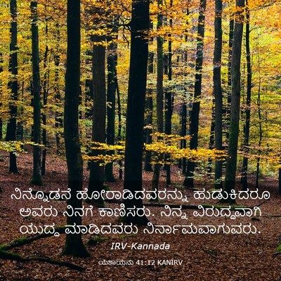 Picture 03 - ಯೆಶಾಯನು 41:12 KANIRV - ನಿನ್ನೊಡನೆ - Bible Verse Picture