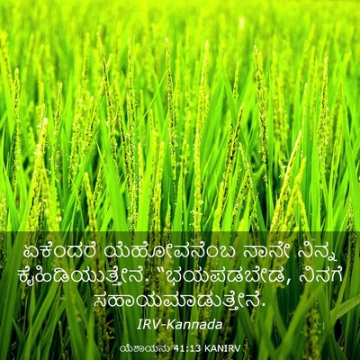 Picture 03 - ಯೆಶಾಯನು 41:13 KANIRV - ಏಕೆಂದರೆ ಯೆಹೋವನೆಂಬ - Bible Verse Picture