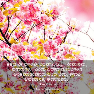 Picture 03 - ಯೆಶಾಯನು 42:17 KANIRV - ಕೆತ್ತಿದ - Bible Verse Picture