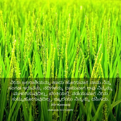 Picture 03 - ಯೆಶಾಯನು 43:2 KANIRV - ನೀನು ಜಲರಾಶಿಯನ್ನು - Bible Verse Picture